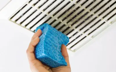 Breathe Easy: Essential Steps to Improve Indoor Air Quality